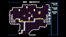 Load image into Gallery viewer, Nox Archaist Collector's Edition